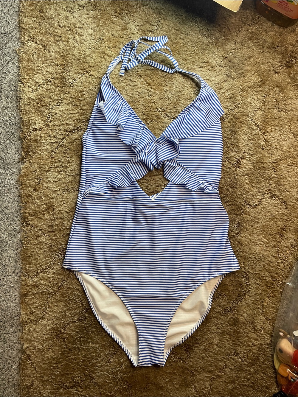 NWT Aerie Full Coverage Blue Striped Bikini Swimsuit One Piece Size Large Long